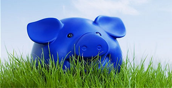 Blue piggy bank in the grass